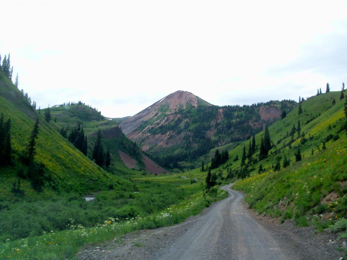 A scenic view of a winding dirt road surrounded by lush green hills and trees, leading into a mountainous area. In the background, a prominent reddish-brown mountain peak rises against a cloudy sky. Wildflowers bloom in the foreground, adding color to the landscape. Slate River Road mountain bike trail.