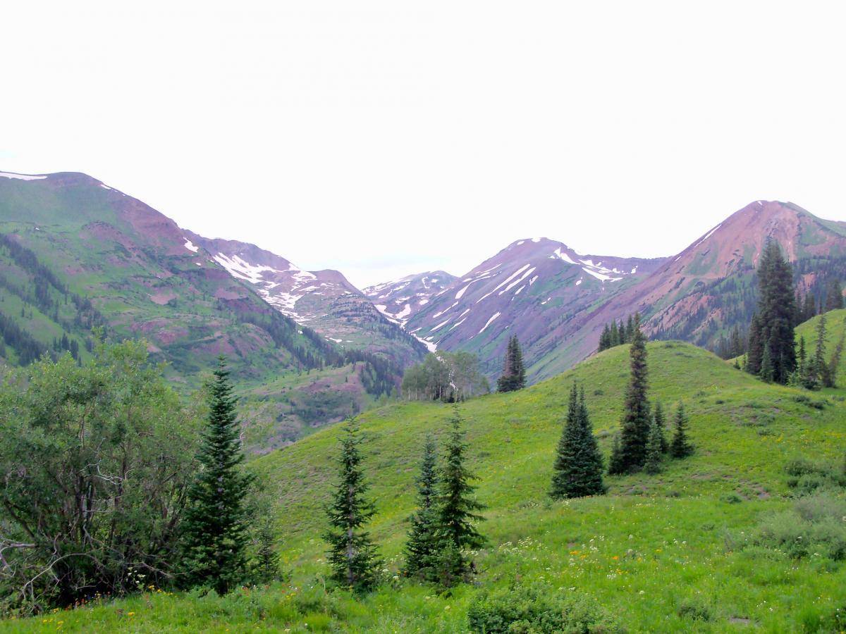 A scenic view of a mountainous landscape featuring green hills, towering pine trees, and distant snow-capped peaks under a light sky. The foreground includes lush vegetation, while the background showcases ridged mountains with patches of snow, creating a serene and picturesque natural setting. Slate River Road mountain bike trail.