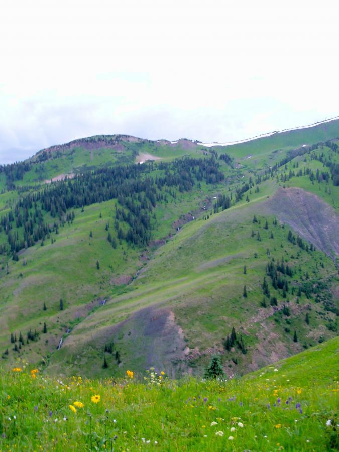 A scenic view of rolling green hills and mountains under a cloudy sky, featuring patches of trees and wildflowers in the foreground. Slate River Road mountain bike trail.