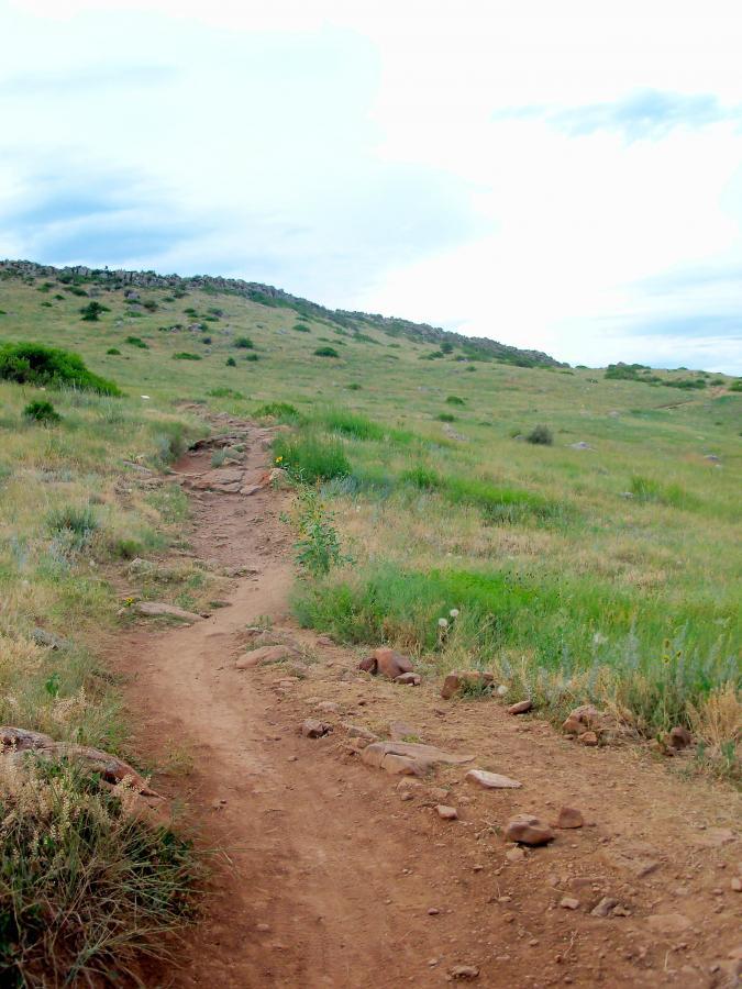 A winding dirt trail leading through a grassy landscape, flanked by patches of wildflowers and shrubs, with gentle hills in the background under a partly cloudy sky. Foothills Trail mountain bike trail.