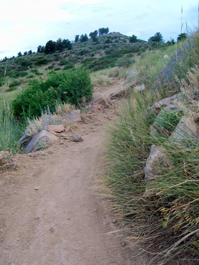 A winding dirt trail bordered by tall grass and scattered rocks, leading upwards through a hilly landscape under a cloudy sky. Foothills Trail mountain bike trail.