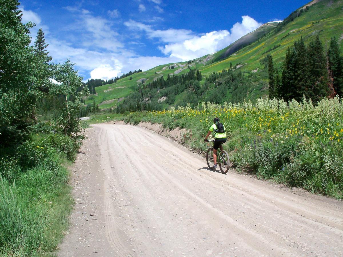 A cyclist riding on a dirt path surrounded by lush greenery and colorful wildflowers, with rolling hills and a bright blue sky in the background. Trail 401 mountain bike trail.
