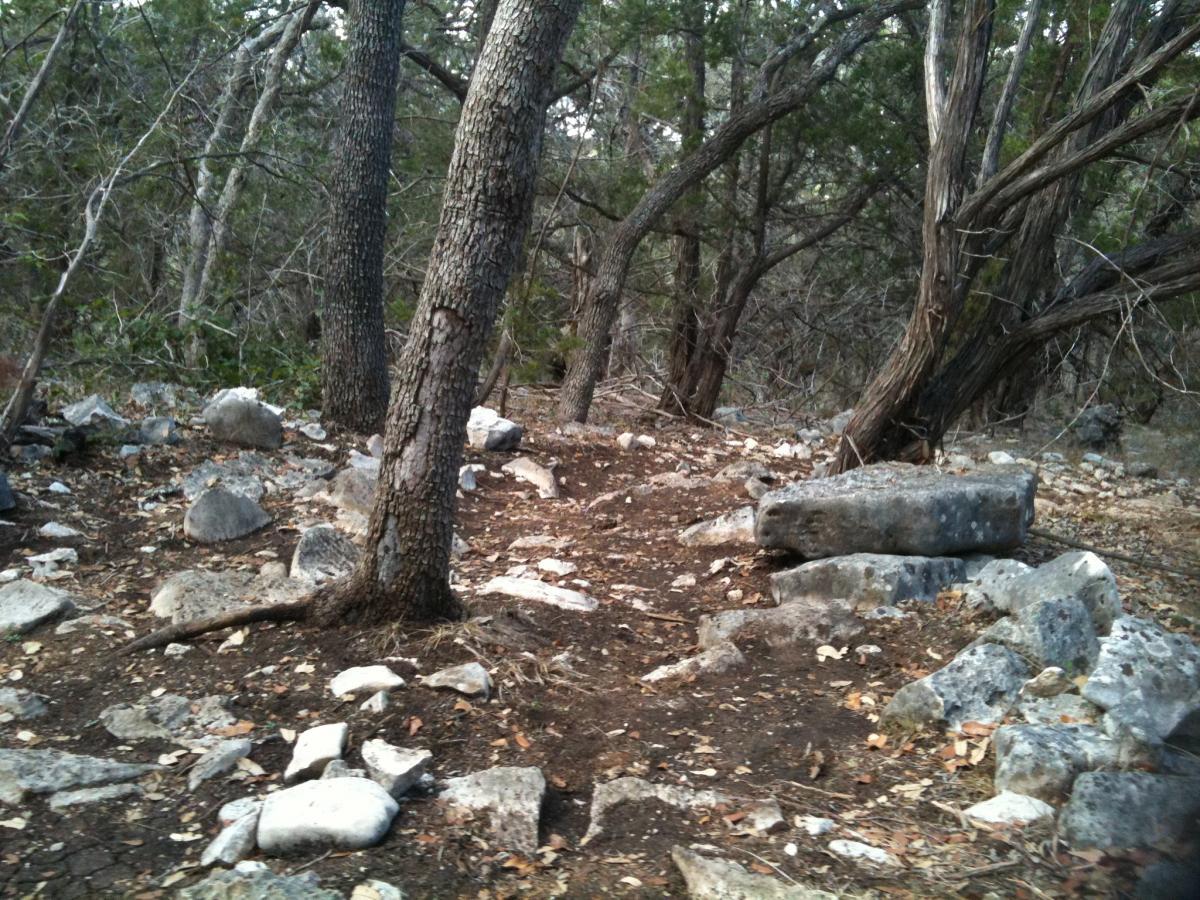 A forested area with several trees and scattered rocks on the ground, surrounded by dense greenery. The soil is bare and uneven, with a mix of large and small stones, indicating a natural landscape or possibly an overgrown path. Government Canyon mountain bike trail.