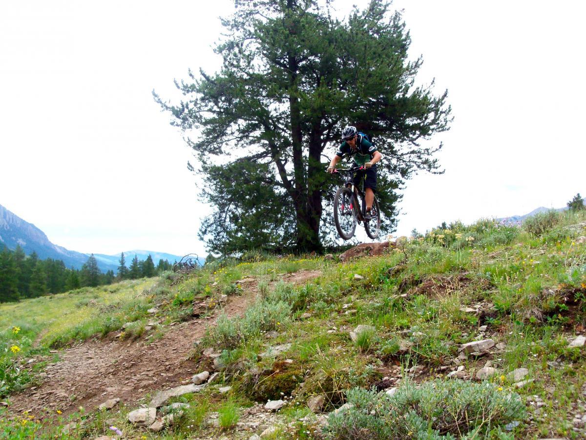 A mountain biker mid-jump over a trail, surrounded by lush greenery and a backdrop of mountains and cloudy sky. Upper Lower Loop mountain bike trail.