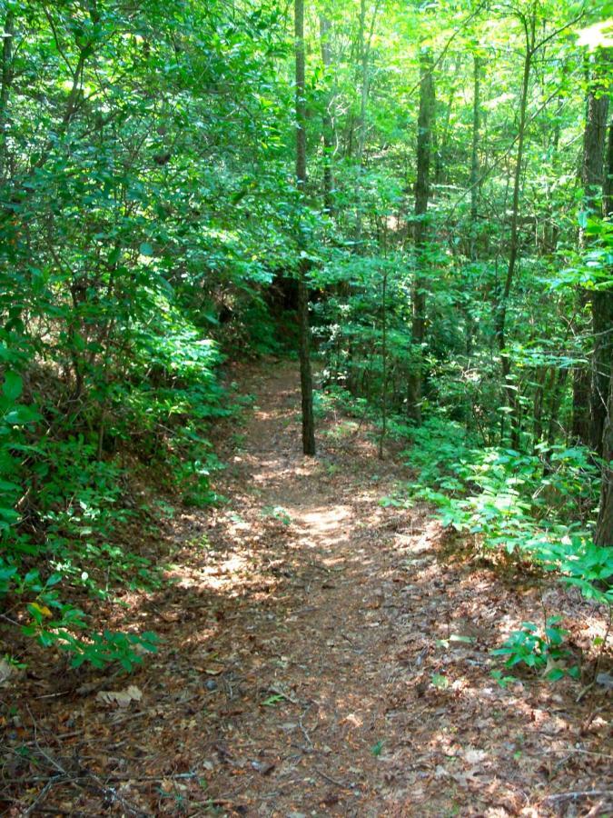 A narrow dirt path winding through a lush green forest, surrounded by trees and dense foliage. Sunlight filters through the leaves, creating a serene, natural environment. The ground is covered with brown leaves and small twigs, indicating the pathway's rustic charm. Hanging Dog mountain bike trail.