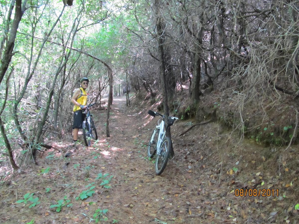 A mountain biker stands next to his bike on a narrow trail surrounded by dense vegetation and trees. Sunlight filters through the foliage, illuminating the path covered with fallen leaves and small plants. The cyclist is wearing a yellow shirt and a helmet, preparing to continue on the trail. Hanging Dog mountain bike trail.