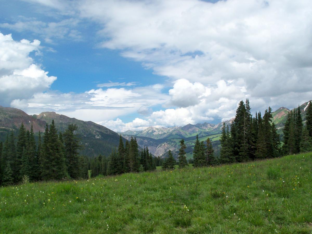 A scenic view of a mountainous landscape under a partly cloudy sky, featuring lush green meadows and clusters of evergreen trees. Mountains in the background display a mix of grassy slopes and rocky peaks, creating a picturesque natural setting. Trail 401 mountain bike trail.