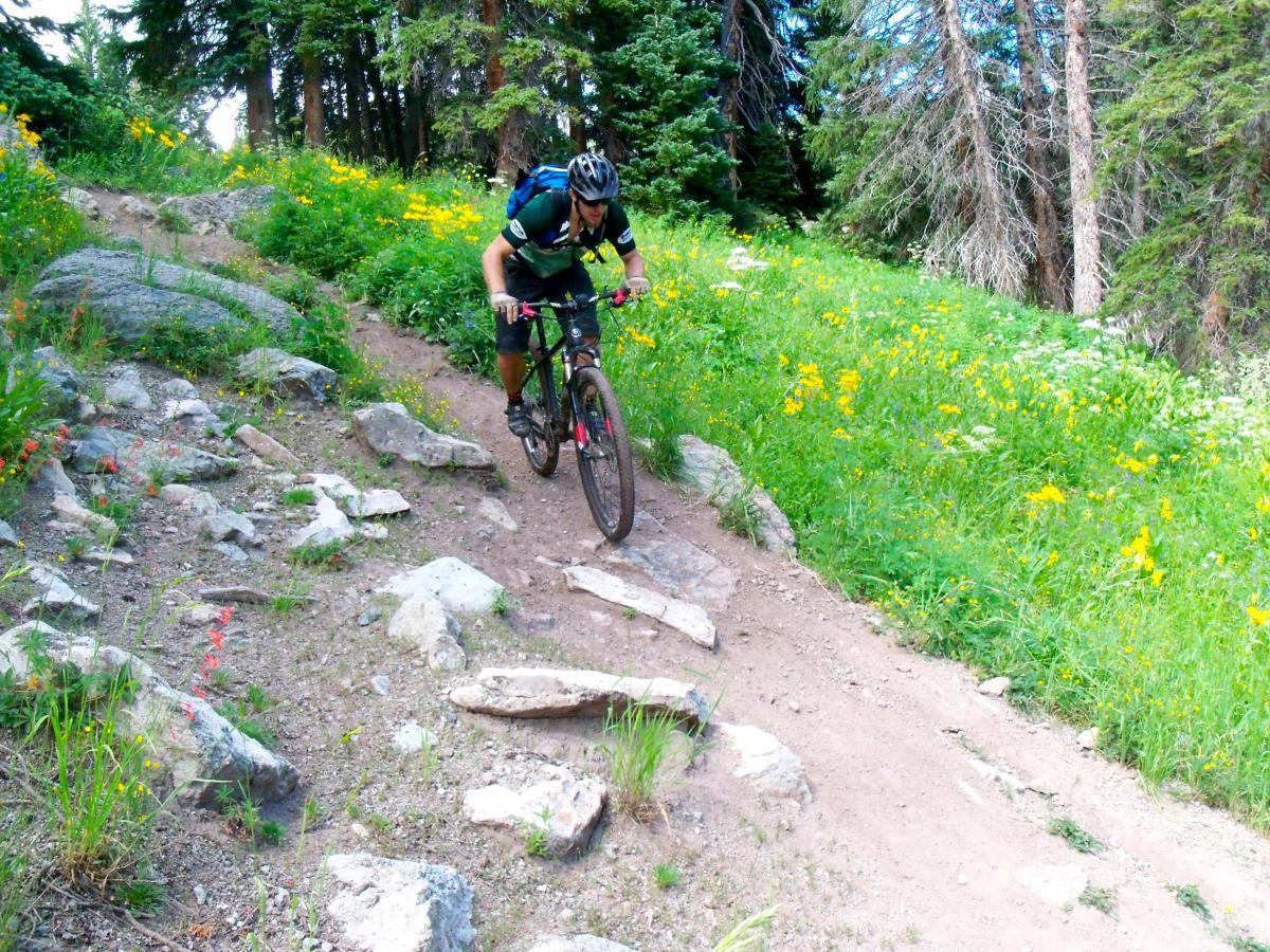 A mountain biker navigating a rocky trail surrounded by vibrant wildflowers and lush greenery in a forested area. The cyclist is leaning forward, focused on the path ahead. Dyke mountain bike trail.