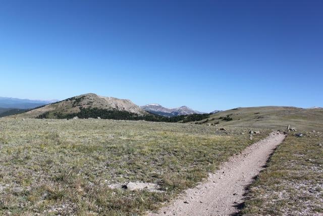A dirt path meanders through a wide, grassy landscape, leading towards distant mountains under a clear blue sky. The scene showcases open terrain with sparse vegetation and rocky outcrops, highlighting a tranquil outdoor environment. Monarch Crest Trail mountain bike trail.