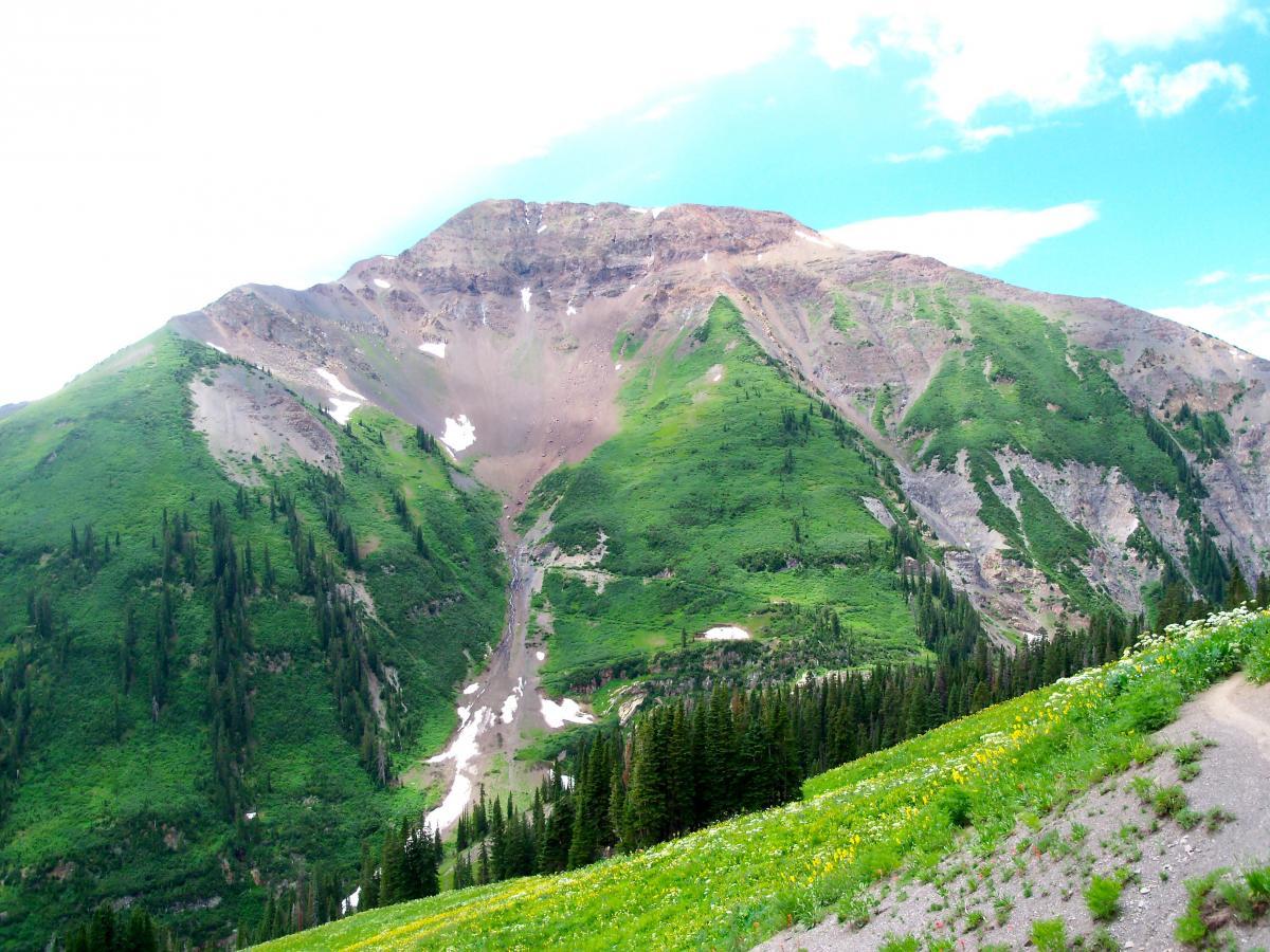 A scenic view of a mountainous landscape featuring lush green slopes and a rocky peak, partially covered in clouds under a bright blue sky. The foreground showcases a grassy area dotted with wildflowers, while the background displays steep, forested hills leading up to the mountain summit. Trail 401 mountain bike trail.