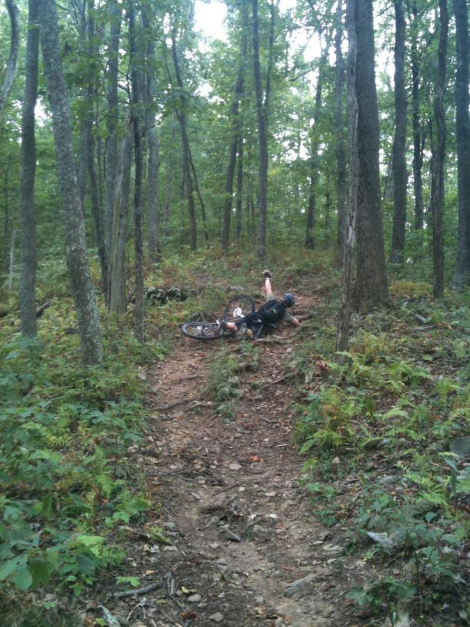 A mountain biker lies on the ground next to a fallen bicycle in a wooded area, surrounded by tall trees and underbrush. The scene depicts a rugged trail with dirt and rocks. Stanley Gap mountain bike trail.