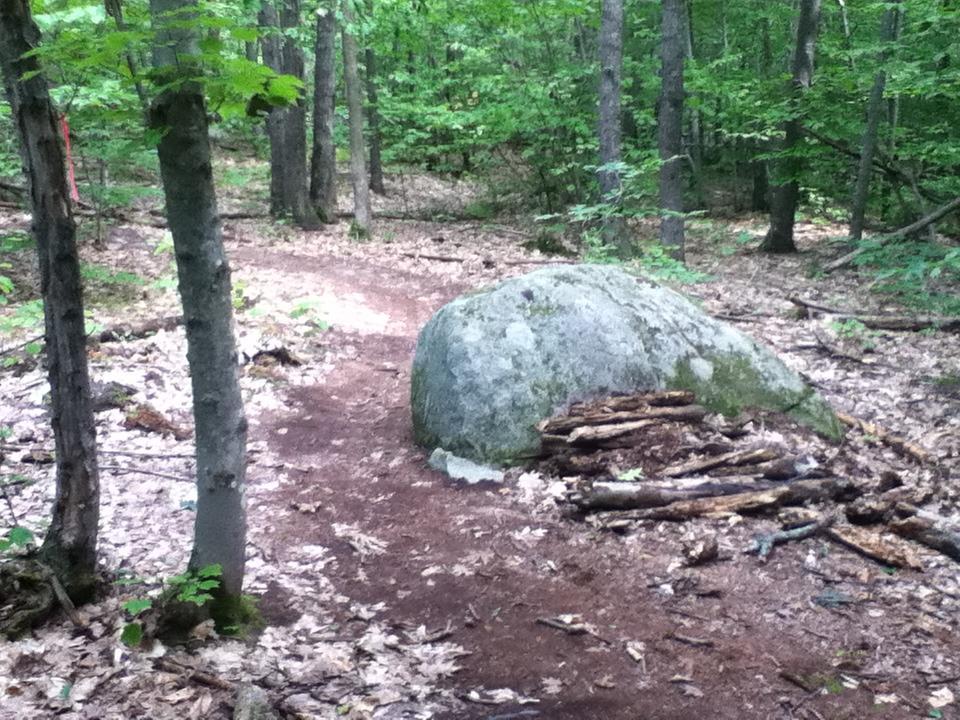 A forested path with a large rock on one side, surrounded by trees and scattered leaves. Sticks are piled nearby, indicating an area where someone may have built a small fire. The scene is lush and green, typical of a wooded area in summer. Pine Ridge mountain bike trail.