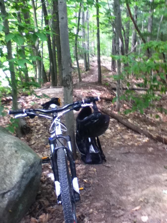 A mountain bike leans against a tree on a narrow dirt path winding through a dense forest. The scene is filled with green foliage, and a backpack is resting nearby. Rocks and fallen branches are scattered along the trail, suggesting a natural, wooded environment ideal for biking. Pine Ridge mountain bike trail.