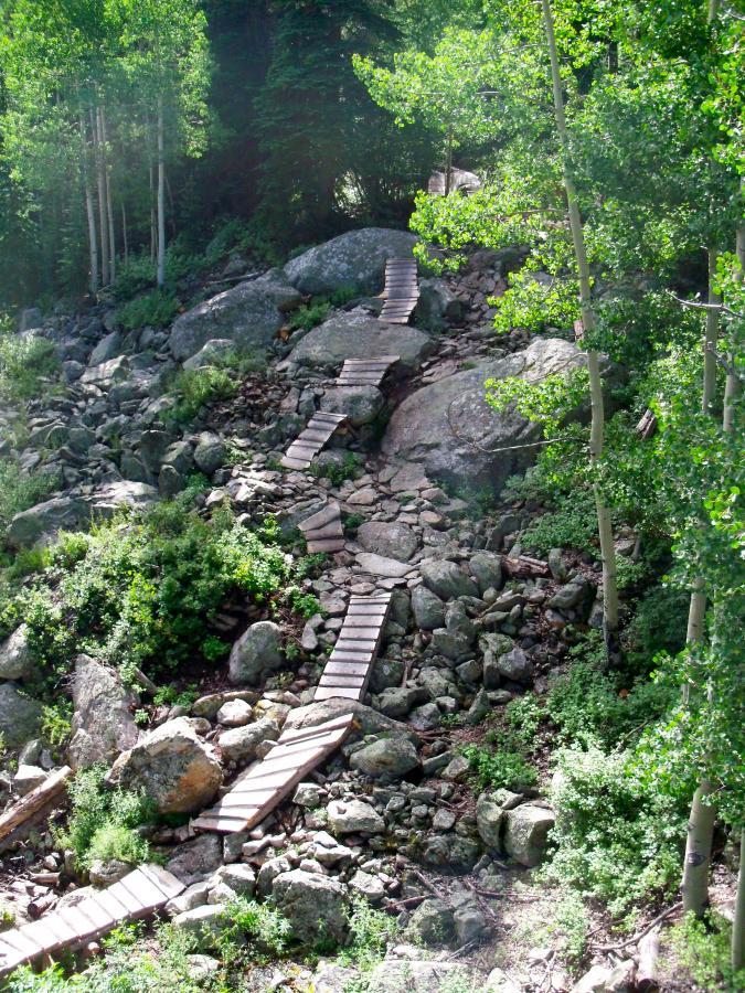 A wooden walkway winds through a rocky landscape, surrounded by lush green vegetation and trees. The pathway curves up and over large boulders, creating a natural trail in a forested area. Sunlight filters through the leaves, illuminating the serene outdoor scene. Psycho Rocks mountain bike trail.
