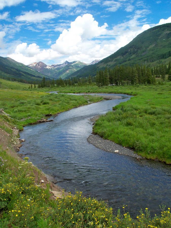 A serene mountain landscape featuring a winding river flowing through lush green meadows, surrounded by tall trees and distant snow-capped peaks under a bright blue sky with white clouds. Lower Loop mountain bike trail.