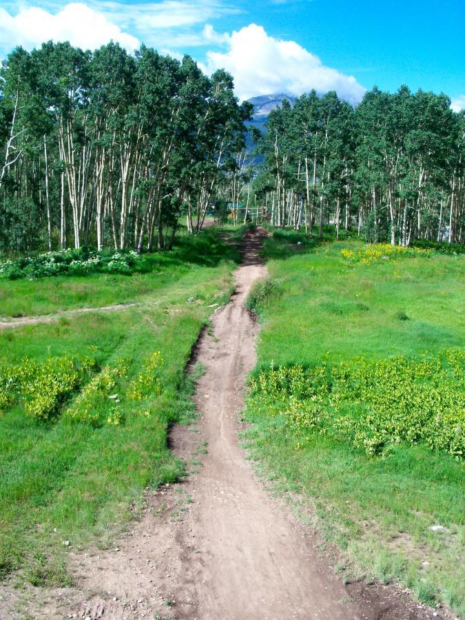 A dirt path winding through a vibrant green landscape, bordered by tall trees and wildflowers, under a clear blue sky with fluffy clouds. Mountains are visible in the distance, enhancing the natural scenery. Evolution Bike Park at Crested Butte Mountain Resort mountain bike trail.