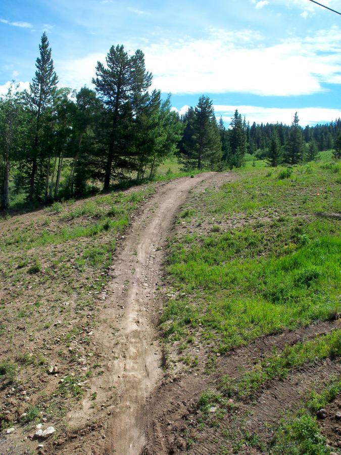A winding dirt path leads through a grassy hillside, surrounded by tall green trees under a bright blue sky with scattered clouds. Evolution Bike Park at Crested Butte Mountain Resort mountain bike trail.