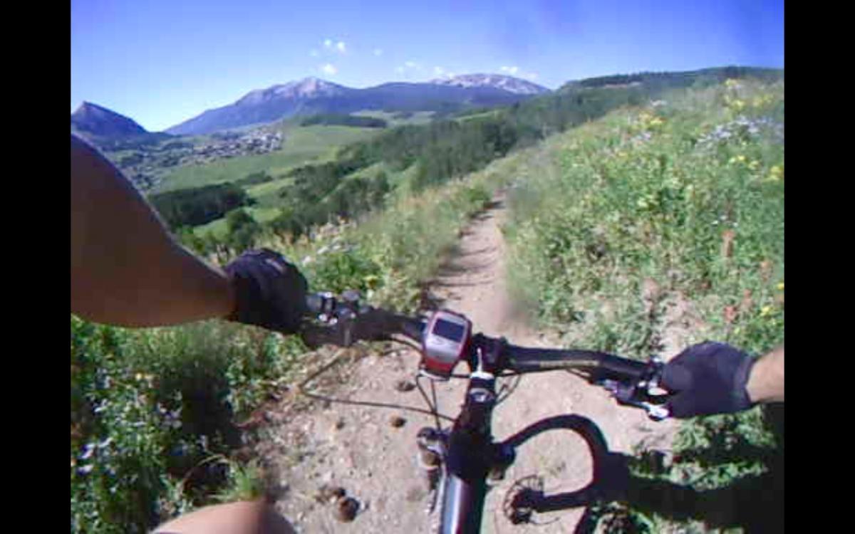 A first-person view of a mountain biking trail surrounded by lush greenery, with distant mountains under a clear blue sky. The handlebars of a mountain bike are visible in the foreground, along with a bike-mounted device displaying metrics. The path ahead winds through flowers and tall grass, leading into the scenic landscape. Snodgrass mountain bike trail.