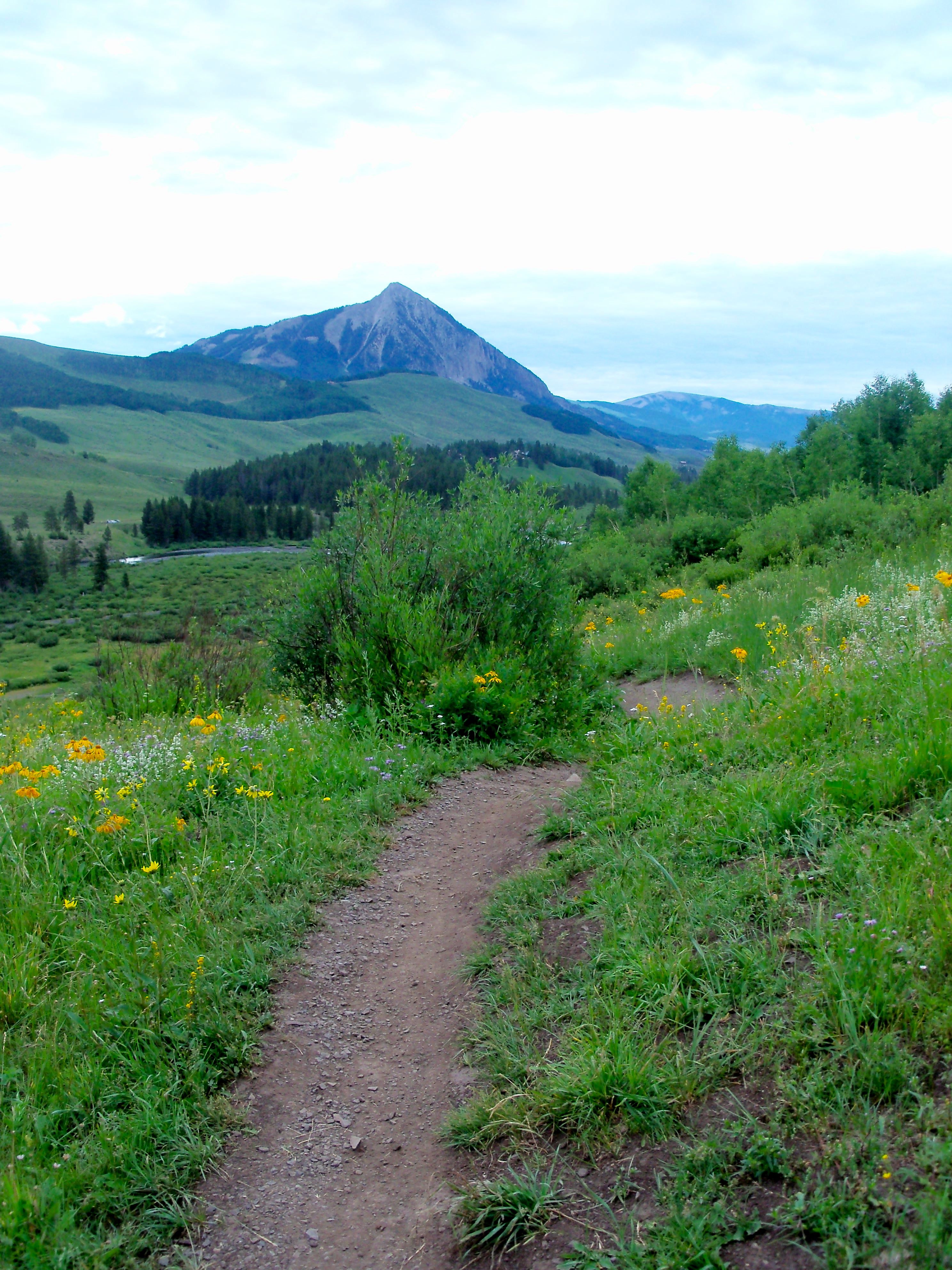 crested butte single parent dating site The resort features cabins dating back to and we are conveniently situated in between gunnison and crested butte offered through our on-site. crested butte single parent dating site The resort features cabins dating back to and we are conveniently situated in between gunnison and crested butte offered through our on-site.