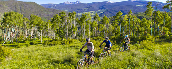 Three mountain bikers riding through a lush green landscape with rolling hills and aspen trees, set against a backdrop of distant mountains under a clear blue sky.