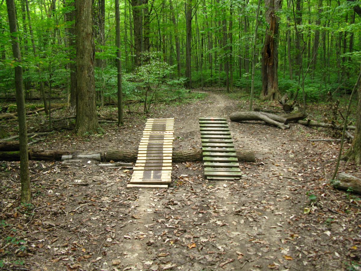 A wooden bridge made of planks crosses over a small obstacle in a forested area. Surrounding the bridge are trees with lush green leaves, and the ground is covered with fallen leaves and dirt. The path diverges, indicating two possible routes through the woods. Findley State Park mountain bike trail.