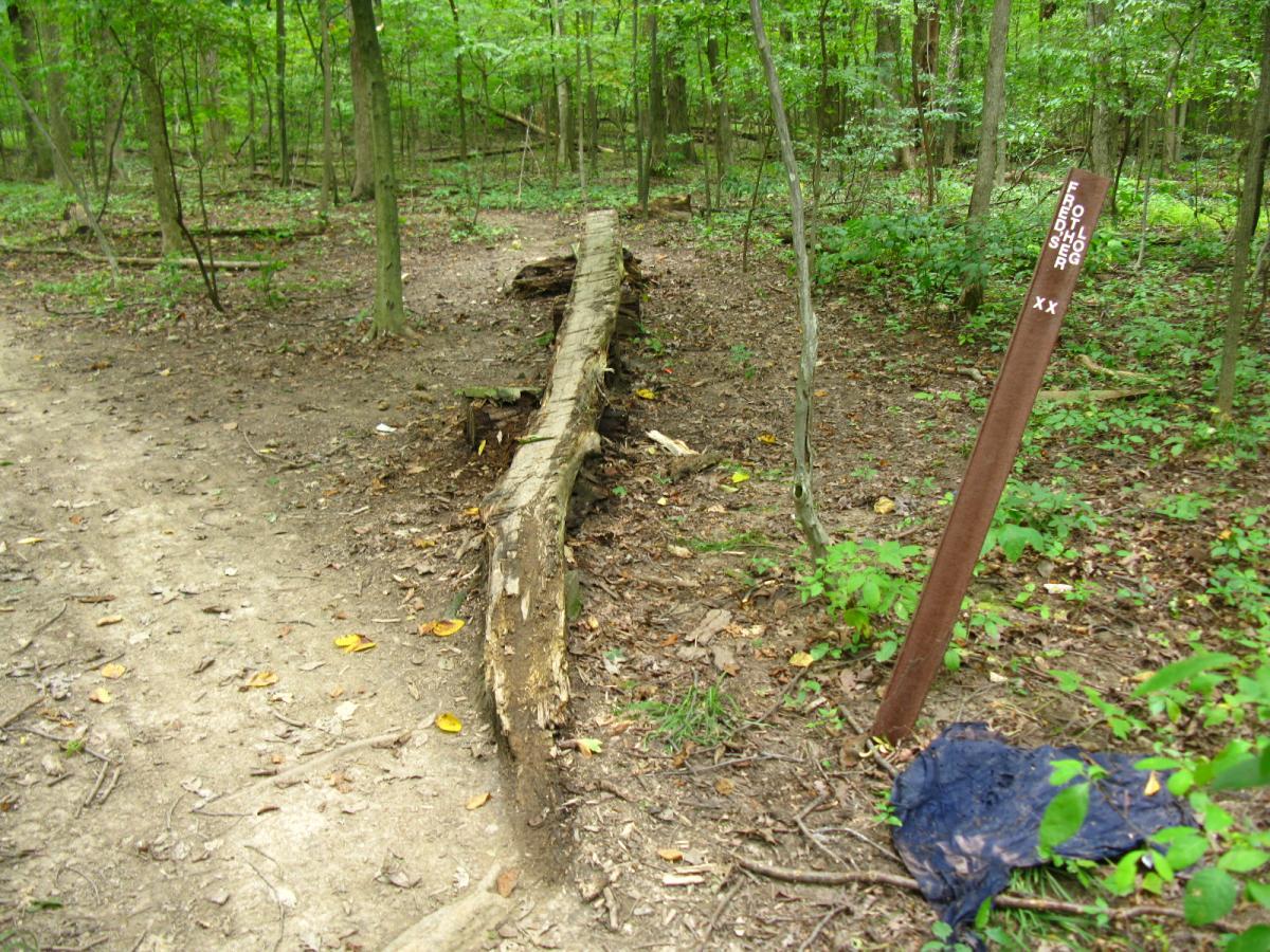 A wooded area featuring a dirt path, a fallen log on the ground, and a brown trail marker post with the text "FREDERICK." Lush green foliage surrounds the scene, with some scattered leaves on the ground. Findley State Park mountain bike trail.