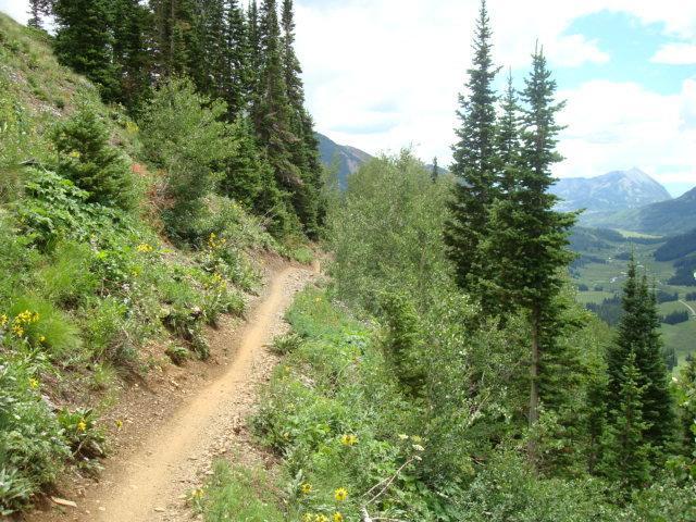 A narrow dirt pathway winding through a lush green landscape, flanked by tall evergreen trees and vibrant wildflowers, with a scenic view of mountains in the background under a partly cloudy sky. Trail 401 mountain bike trail.