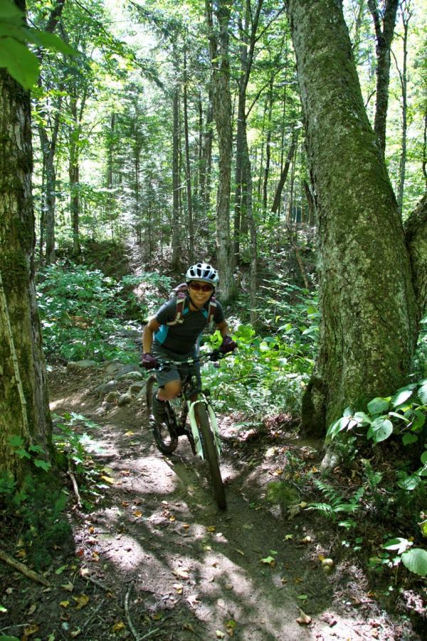 A mountain biker riding along a dirt trail surrounded by lush greenery in a forest. The cyclist is wearing a helmet and has a backpack, enjoying the outdoors on a sunny day. Vallee Bras Du Nord Secteur Shannahan mountain bike trail.