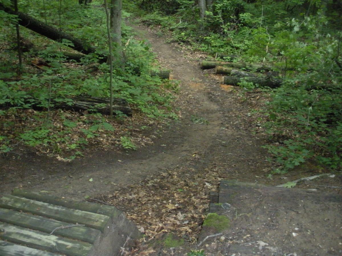 A narrow dirt path winding through a lush forest, surrounded by trees and underbrush. There are fallen logs on the ground and patches of leaves scattered along the trail, leading into the greenery. A wooden structure is visible at the edge of the path. Cannonsburg Ski Area mountain bike trail.