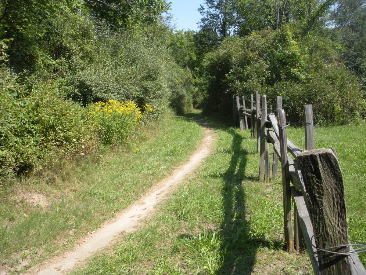A narrow dirt path winding through a lush green landscape, bordered by tall grasses and dense shrubberies. A wooden fence lines one side of the trail, casting shadows on the ground. Bright yellow flowers peek out from the greenery, creating a tranquil and inviting outdoor scene. Addison Oaks mountain bike trail.