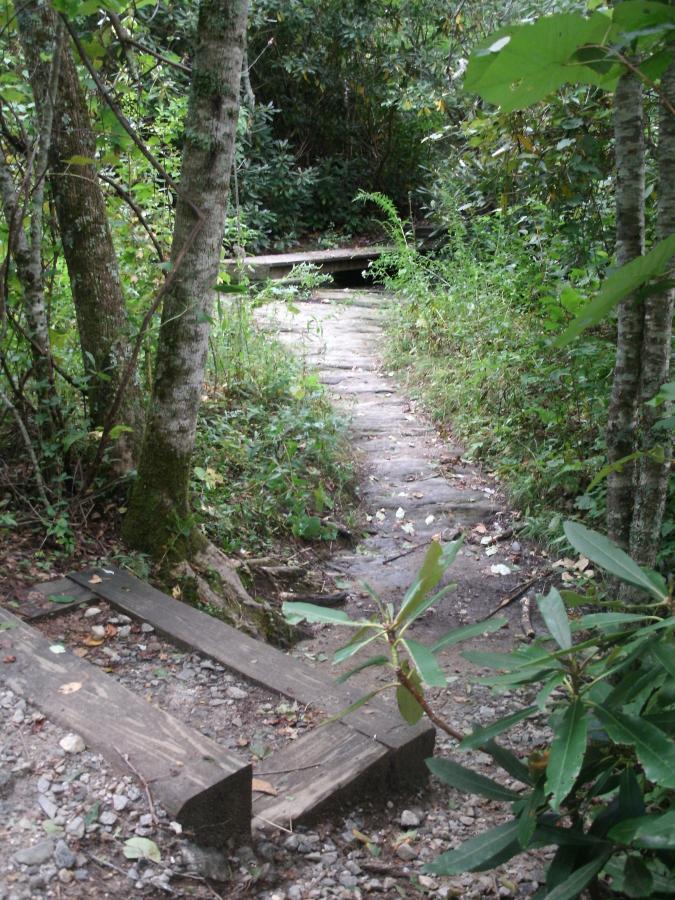 A narrow, winding stone pathway leads through a lush, green forest, bordered by tall trees and dense vegetation. Wooden planks are visible at the start of the trail, which disappears into the foliage ahead. Panthertown Valley mountain bike trail.