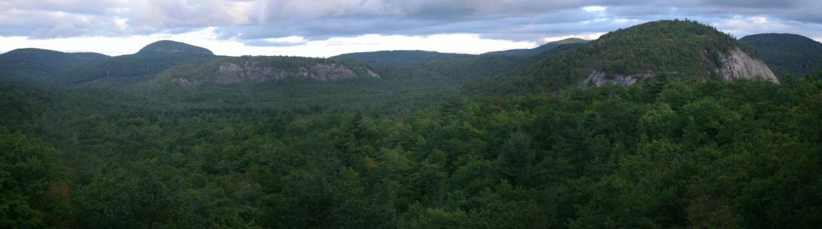 A panoramic view of a lush green forested landscape, dotted with rocky outcrops and rolling hills under a cloudy sky. The scene showcases a diverse array of trees and vegetation, creating a vibrant natural setting. Panthertown Valley mountain bike trail.