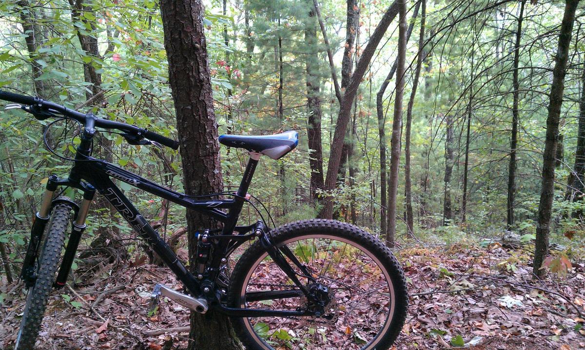 A black mountain bike leaning against a tree in a dense forest, surrounded by lush green foliage and a few autumn-colored leaves on the ground. The scene captures a natural, wooded area with tall trees and a visible trail in the background. Pinhoti Trail: P3 mountain bike trail.
