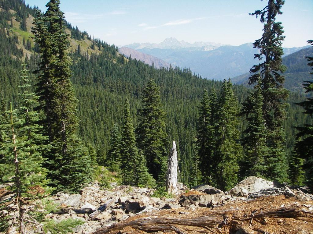 A panoramic view of a dense forest filled with tall evergreen trees, set against a backdrop of distant mountains under a clear blue sky. In the foreground, a weathered, dead tree stands among scattered rocks and fallen logs, while the lush green landscape extends into the horizon. Kachess Ridge Loop mountain bike trail.