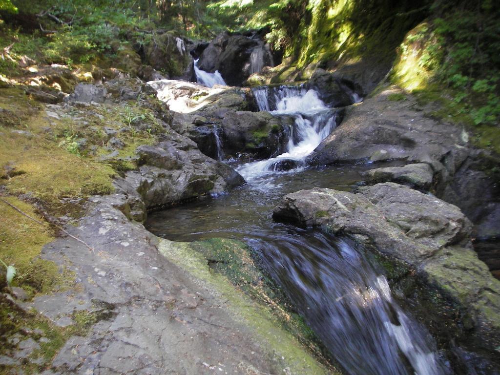 A serene scene of a rocky stream with multiple small waterfalls cascading over smooth stones. Lush greenery surrounds the water, highlighting the natural beauty of the area. The sunlight filters through the trees, creating a peaceful atmosphere. Kachess Ridge Loop mountain bike trail.