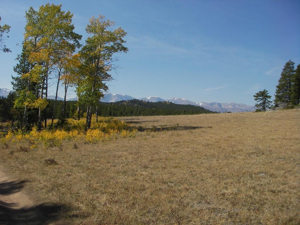 A scenic view of a mountainous landscape featuring a grassy field with patches of yellow flowers. In the foreground, several trees with autumn-colored leaves stand near a dirt path, while rolling hills and snow-capped mountains are visible in the background under a clear blue sky. Clear Creek mountain bike trail.