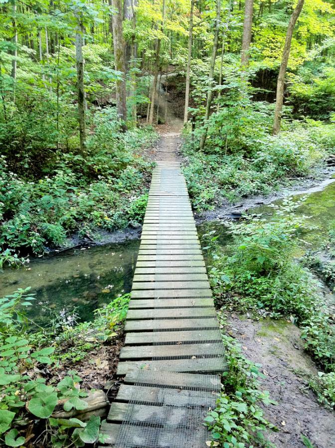 A wooden bridge crossing a small stream in a lush green forest, surrounded by trees and foliage. The path leads into the woods, providing a natural and tranquil setting. Franke Park mountain bike trail.
