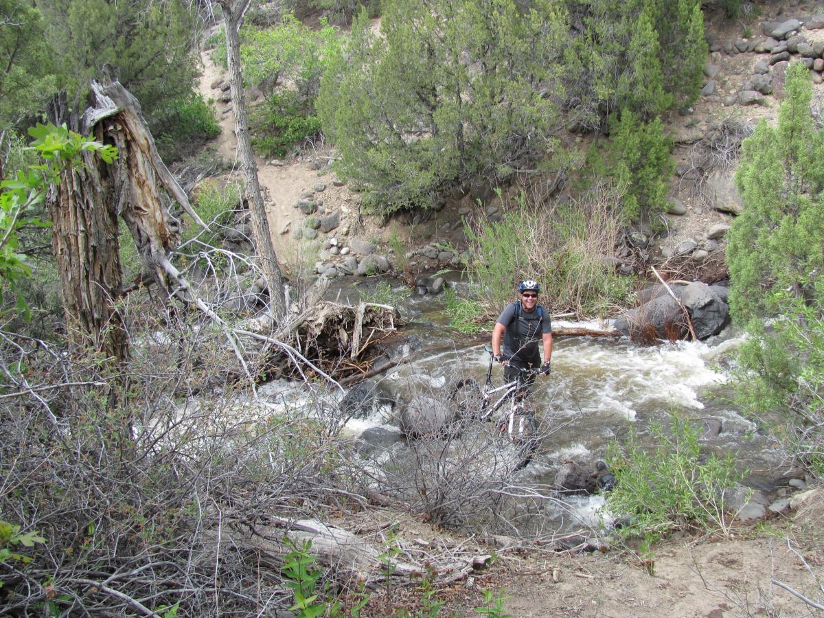 A mountain biker navigating through a rocky stream in a wooded area, surrounded by greenery and fallen branches. Palisade Rim mountain bike trail.