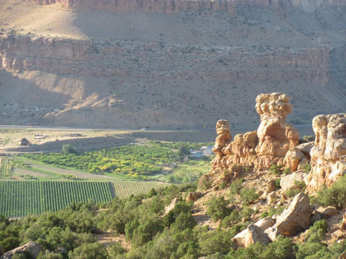 A scenic view of rock formations on a hillside overlooking a patchwork of green vineyards and fields below, with distant cliffs and a roadway in the background. Palisade Rim mountain bike trail.