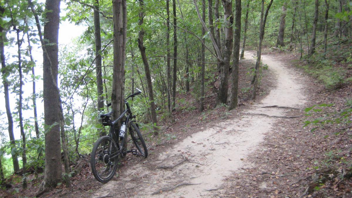 A mountain bike resting against a tree along a winding dirt path surrounded by lush greenery in a forest setting. The trail curves gently into the distance, with trees lining both sides. A glimpse of water is visible through the foliage. Tribble Mill Park mountain bike trail.
