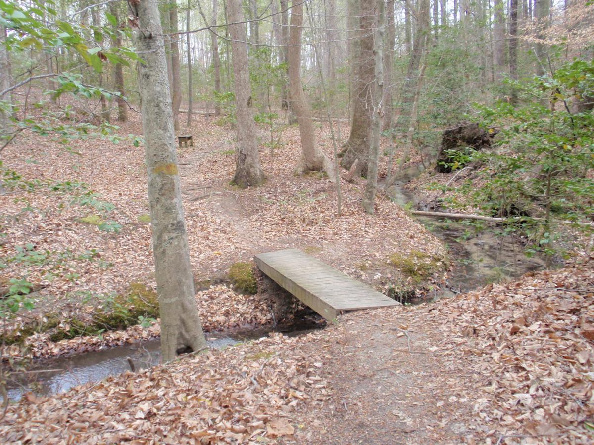 A serene forest scene featuring a small wooden bridge crossing a gentle stream, surrounded by trees with sparse leaves and a carpet of dried leaves on the forest floor. The setting conveys a peaceful, natural environment. Wahrani Park mountain bike trail.