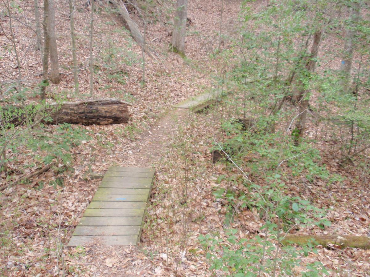A dirt pathway in a wooded area, leading over a small wooden bridge. The ground is covered with a layer of fallen leaves, and there are scattered bushes and trees in the background. A large log lies beside the path, adding to the natural setting. Wahrani Park mountain bike trail.