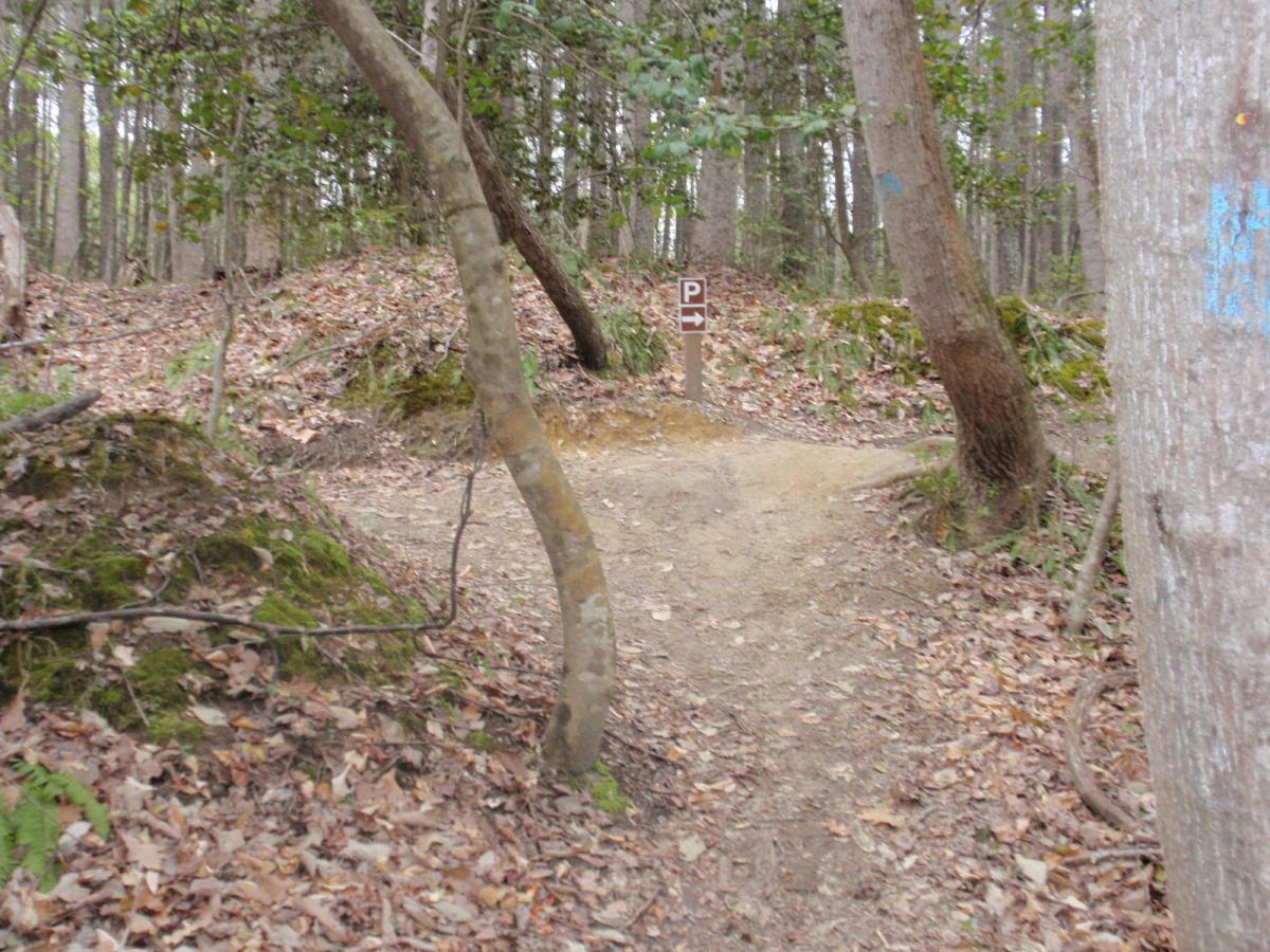 A dirt path winding through a forest, with fallen leaves covering the ground. A wooden sign marked with a "P" indicates a parking area to the right. Surrounding the path are trees and greenery, creating a serene natural environment. Wahrani Park mountain bike trail.