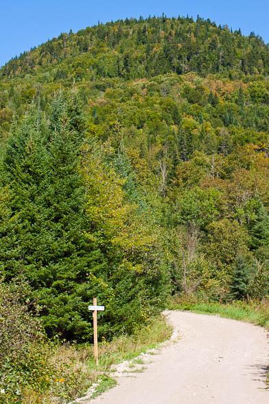 A dirt path winding through a forest, flanked by green trees, leading up to a wooded hill in the background. A wooden signpost stands near the path entrance. The scene is bright and sunny, showcasing vibrant autumn foliage. Vallee Bras Du Nord Secteur Shannahan mountain bike trail.