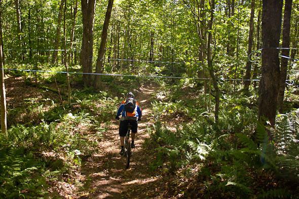 A mountain biker riding along a dirt trail through a lush green forest, surrounded by tall trees and ferns, with sunlight filtering through the canopy above. Vallee Bras Du Nord Secteur Shannahan mountain bike trail.