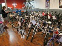 A person stands in a bike shop surrounded by various bicycles displayed on the showroom floor. The bikes, in different colors and styles, are labeled with price tags, and there are tools and accessories visible in the background. The shop has a warm ambiance with wooden flooring and red walls.