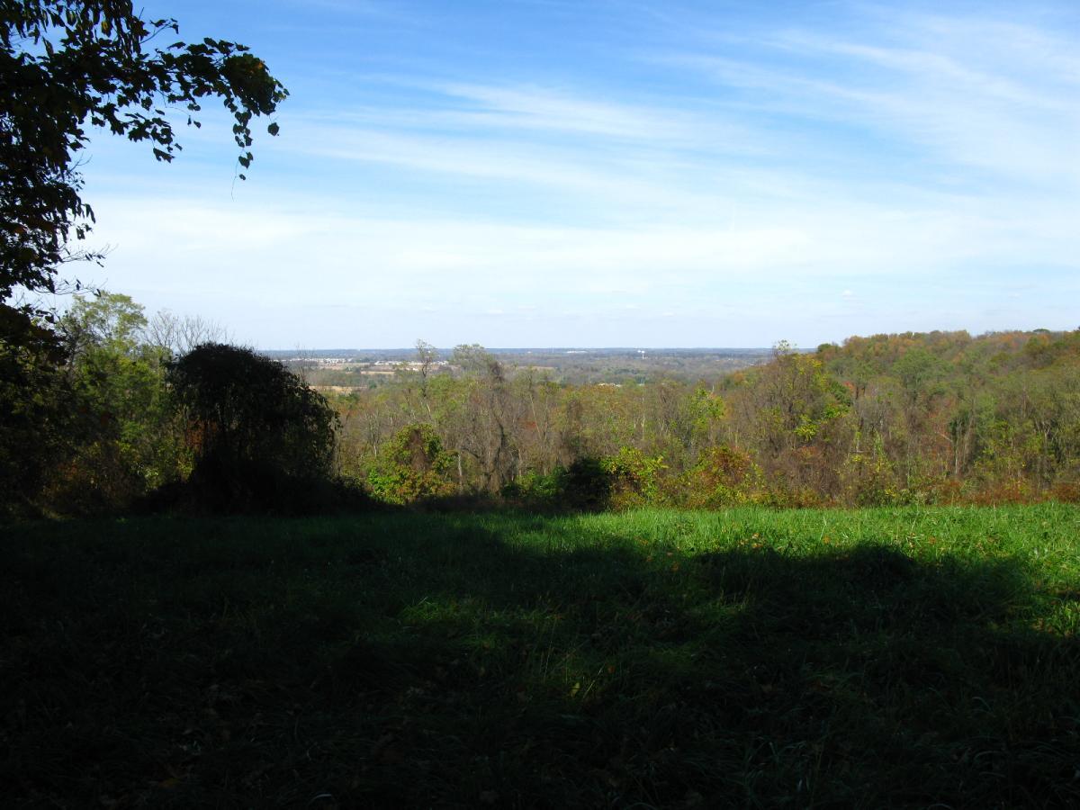 A panoramic view of a lush, green landscape with a valley and distant hills under a bright blue sky, featuring scattered clouds. The foreground shows a grassy area with trees framing the scene. Chestnut Ridge mountain bike trail.