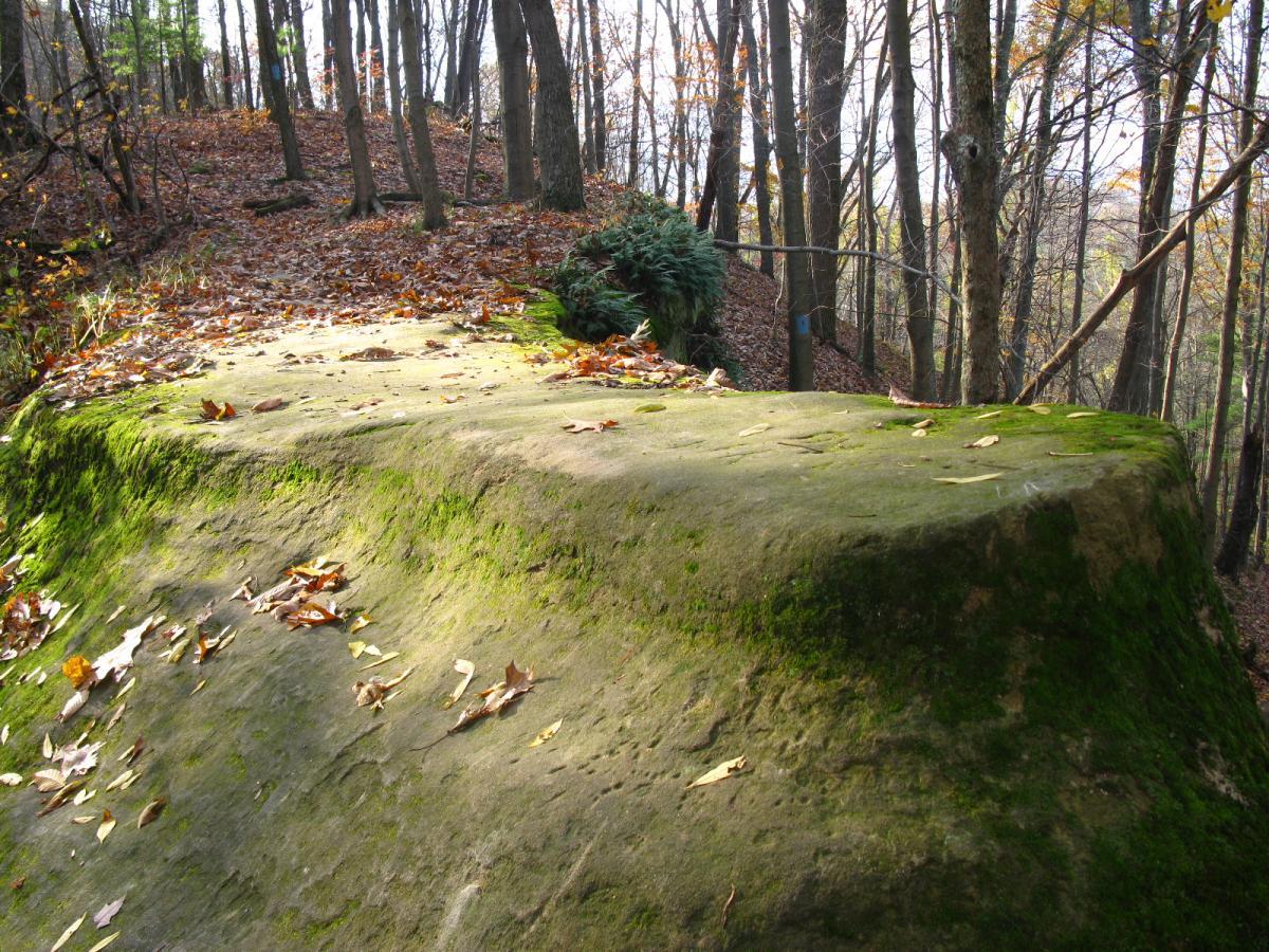 A flat, moss-covered rock surrounded by autumn leaves in a wooded area, with trees in the background and a path leading upward. Strouds Run State Park mountain bike trail.