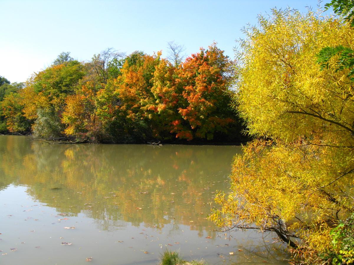 A serene river scene showcasing vibrant autumn foliage with trees displaying shades of orange, yellow, and green, reflecting on the calm water under a clear blue sky. Van  Buren mountain bike trail.