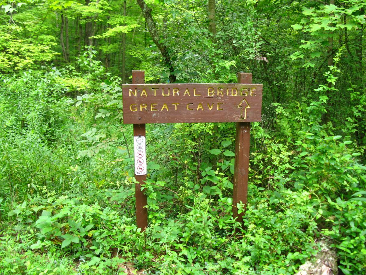 Wooden signpost indicating the trail to "Natural Bridge Great Cave," surrounded by lush green foliage and trees. Archers Fork Loop Trail mountain bike trail.